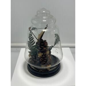 Vintage Bell Jar retro 1970s Preserved Butterly Flower Botanical Display Decor